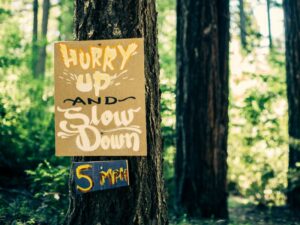 A wooden sign on a tree reads 'Hurry up and slow down' in a forest.
