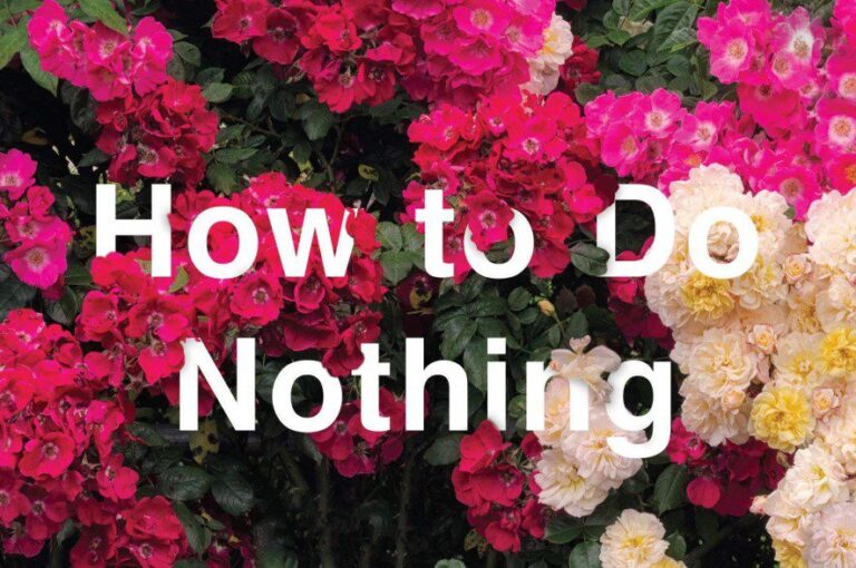 Bright pink and red roses with the text 'How to Do Nothing' overlayed.